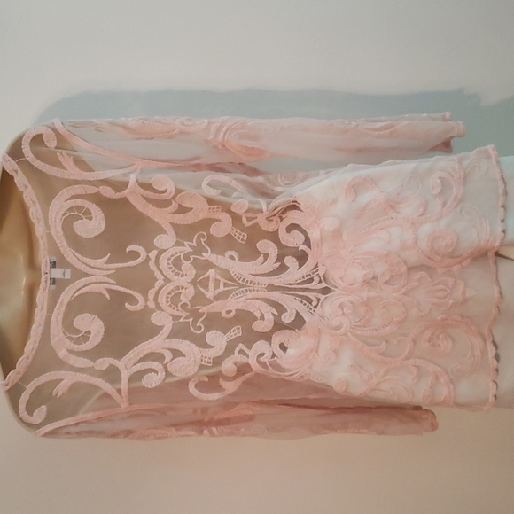 Sheer blouse by Express in a size L.  Pretty pink. Like new condition. - Picture 3 of 4